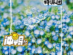-上海辰山植物园