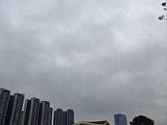 -光明小镇欢乐田园