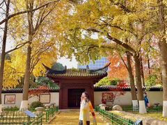 -南京时尚莱迪购物广场(正洪街店)