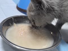 -嘉馨宠物医院·CT影像转诊·心脏科·犬猫全科诊疗中心(下沙大学城院区)