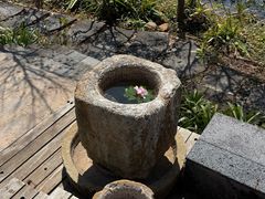 -昆明柏联SPA温泉