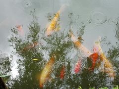 -月牙潭公园