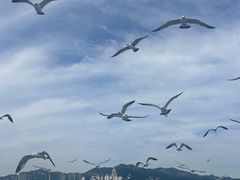 -刘公岛景区