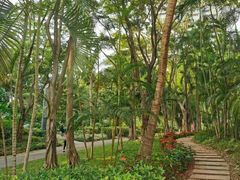 -深圳国际园林花卉博览园