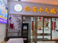 -西安小天鹅艺术团(金花路校区)