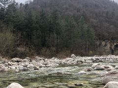 -黑河国家森林公园