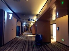 -博纳国际影城IMAX(中央大道店)