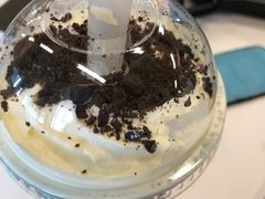-奈雪的茶(国金中心店)