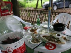 -宾湖农庄·农场特色(太湖龙之梦店)