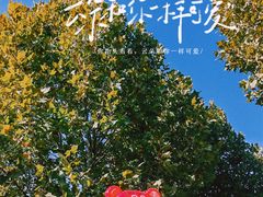 -花博汇(知音花月夜)