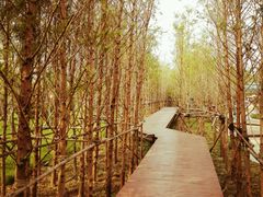 -武清南湖绿博园