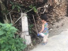 -西双版纳傣族园