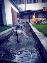 -保丽宝泰母婴护理院·月子中心·产康·中医(常州店)