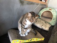 -1984魔法桌游(观音桥店)