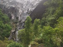 -长寿村