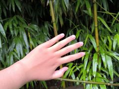 -杭州黄龙洞