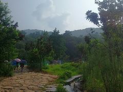 -连云港云龙涧原生态风景区