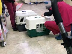 -美联众合动物医院·24h转诊中心