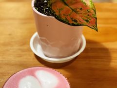 -Cappucimeow猫咪咖啡馆(韦伯时代店)