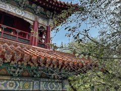 -沈阳市东陵公园