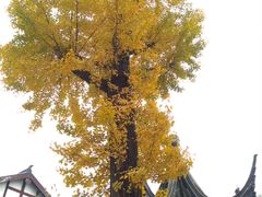 -龙潭水乡
