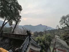 -潭柘寺景区