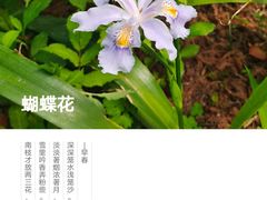 -上房园艺·梦花源