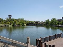 -张坝桂圆林公园