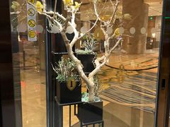 -世博洲际酒店-盛会堂中餐厅