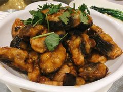 白鳝-强记海鲜·大排档(蛇口新街店)