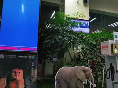 -德宏芒市国际机场