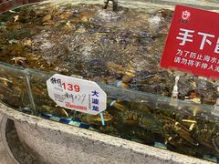 水产区-古韵轩·江浙融合菜(梁溪店)