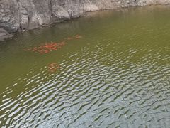 -北京凤凰岭