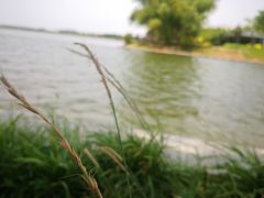 -郑东新区龙湖公共艺术中心