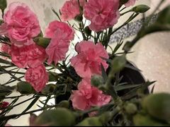 -L'Arome芳芳法国餐厅(仙林金鹰店)