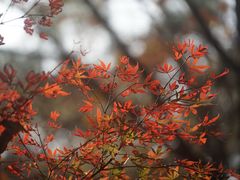 -九真山风景区