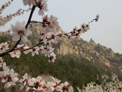 -北京凤凰岭