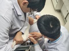 -全心全意连锁动物医院(加州店)