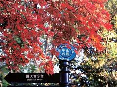 -中山公园