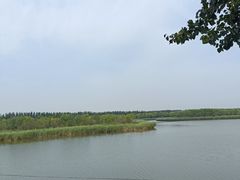 -西青郊野公园