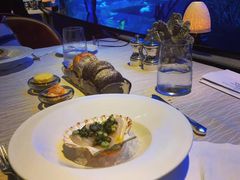 -迪拜帆船酒店海底餐厅