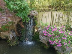 -上海醉白池公园