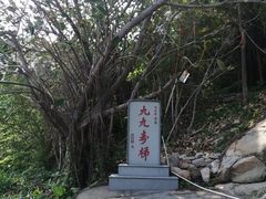 -东山风动石景区