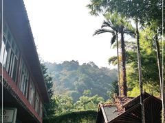 -野象谷景区