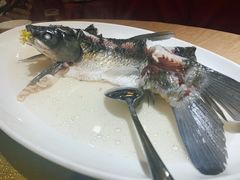 清蒸山泉吊水鲩鱼-观山美厨·精致粤菜(西樵店)
