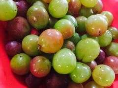 -乡乐园蟹庄·阳澄湖农家乐