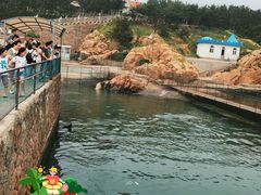 -西霞口神雕山野生动物世界