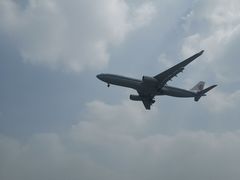 -空港花田景区