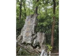 -音乐台