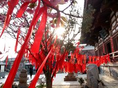 -西安青龙寺遗址景区